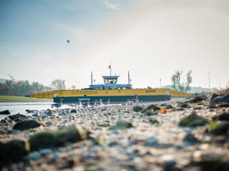 Schloßfähre Pillnitz