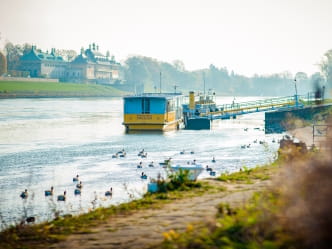 die Elbfähre Elbflorenz liegt am Kleinzschachwitzer Ufer an, im Hintergrund ist das Schloss Pillnitz zu sehen 