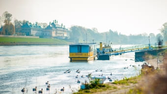 die Elbfähre Elbflorenz liegt am Kleinzschachwitzer Ufer an, im Hintergrund ist das Schloss Pillnitz zu sehen 