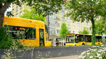 Bahn und Bus am Pirnaischen Platz
