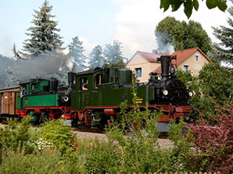 Loessnitzdackel
