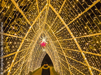 Anschaubild Christmas Garden