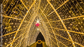 Anschaubild Christmas Garden