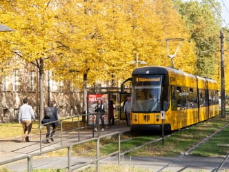 Linie 8