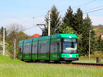 Bild einer grünen Bahn mit DREWAG-Beklebung