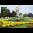 Das Foto zeigt ein großes Blumenbeet, welches mit gelben Blumen bepflanzt ist. Im Zentrum befindet sich eine Statue im Großen Garten.