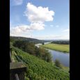 Foto mit Ausblick vom grün bewachsenen Elbhang auf die Elbe am Lingnerschloss