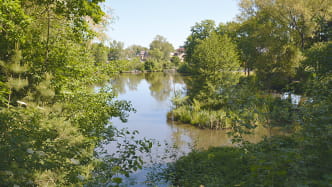 Oberer Mittelteich
