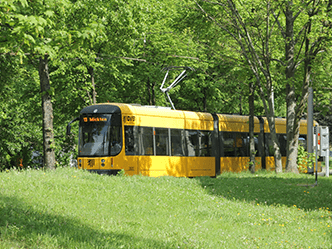 Straßenbahn im Grünen