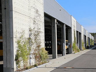 Begrünung am Tramport in Trachenberge