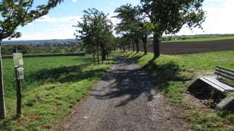 Merbitzer Bauernweinberg