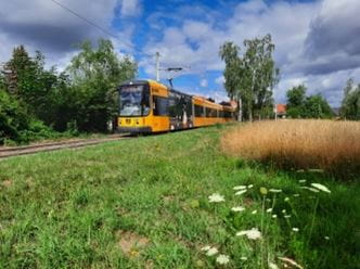 Wildwiese am Endpunkt Weixdorf