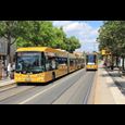 Busse und Straßenbahn am Pirnaischen Platz in einer Haltestellensituation