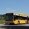 Bus vor Elbwiesen