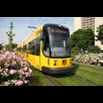 Gelbe Straßenbahn mit blühenden Blumen entlang des grünen Gleisbetts