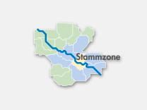 Schematische Darstellung Stammzone