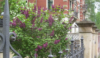 Foto Historischer Zaun mit Sandsteinpfeilern und grünen Pflanzen