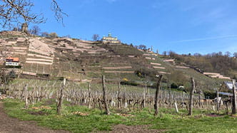 MOBIbike-Tour 6 - in Radebeul