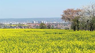 Blick auf den Süden von Dresden